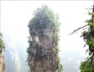 Hem güldürüyor hem düşündürüyor