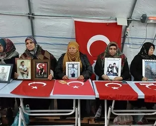 9 ülkenin büyükelçisinden Diyarbakır annelerine ziyaret