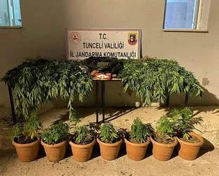 Tunceli’de uyuşturucu operasyonu!