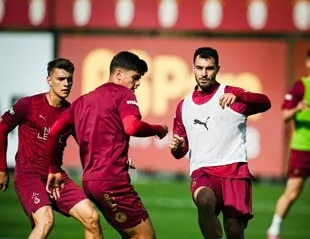 Aslan güç depoluyor