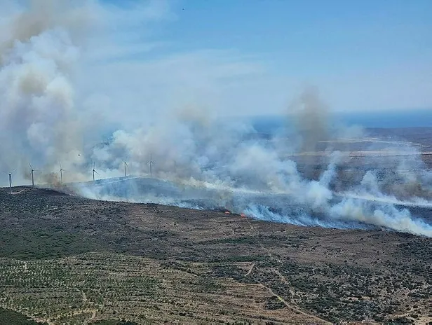 mugla-datca-ve-izmir-cesmede-orman-yangini-karadan-ve-havadan-mudahale-ediliyor-1657719403212.jpeg Muğla ve İzmir'de peş peşe orman yangınları! Datça'daki yangın kontrol altında-26
