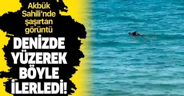 takvim gazetesi