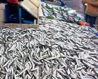 Av yasağı başladı balık fiyatları arttı