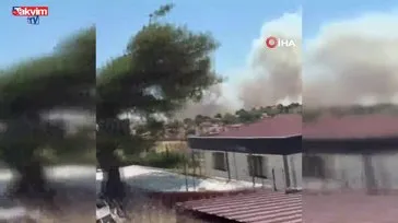 Çanakkale orman yangını!