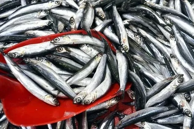 Hamsinin kulağına kar suyu kaçtı