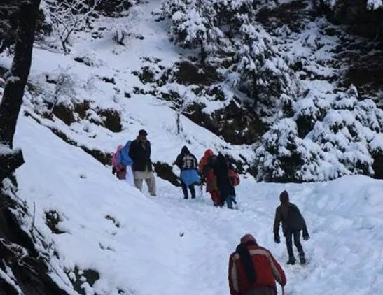 Büyük şok!  Ölenlerin sayısı 95’e çıktı