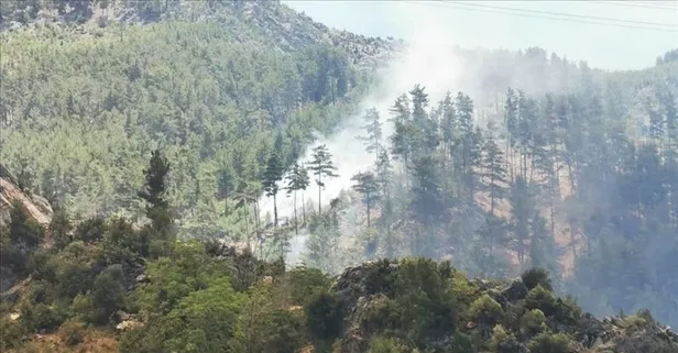 Ankara'da "orman" yasağı! Valilik duyurdu... Ne zaman başlayacak?