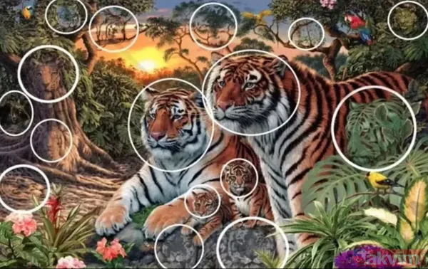 Bu fotoğraf bakanlara saç baş yoldurdu! Bir leopar var ama hadi bulun bulabilirseniz! Zor olduğuna eminiz arayanların yüzde 99'u vazgeçti - 14