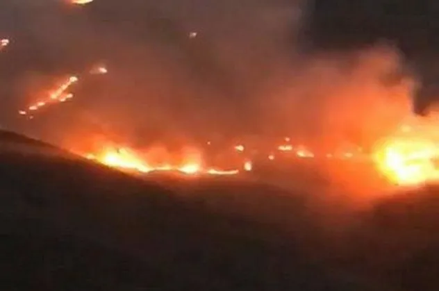 Son dakika: Bayburt'ta orman yangını