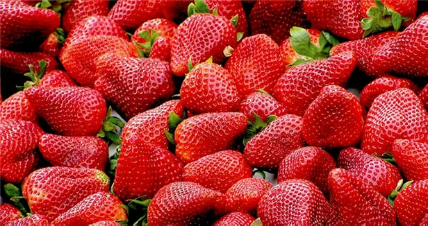 Avustralya'da çilekten çıkan iğnelerin şaka yapmak için koyulduğu açıklandı-7