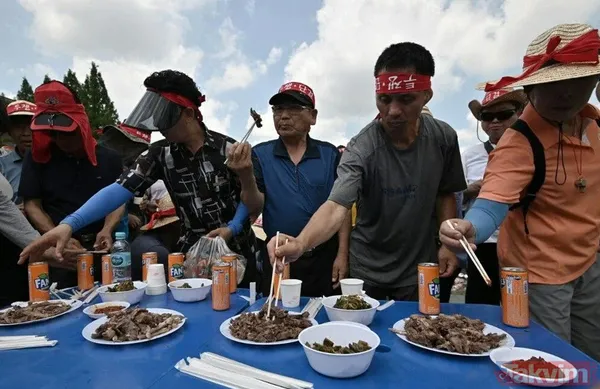 Güney Kore köpek eti yemeyi yasaklıyor! Her yıl 1 milyon adet katlediliyor - 4