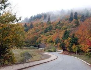 İstanbul'a çok yakın