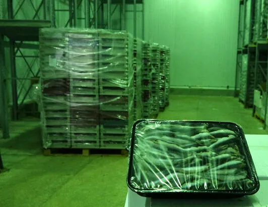 Karadeniz’den en çok Almanya aldı! 499 bin 662 dolar...