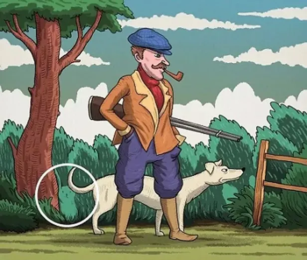 iqnuza-antrenman-yaptiracak-test-geldi-bahcedeki-tavsani-bulan-en-kral-avciya-bile-felegini-sasirtir-1697618802106.jpg Bahçedeki tavşanı bulan en kral avcıya bile feleğini şaşırtır: IQ'nuza yoracak yaptıracak test geldi!-5