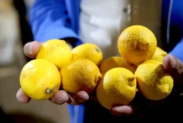 Kansızlığa limon