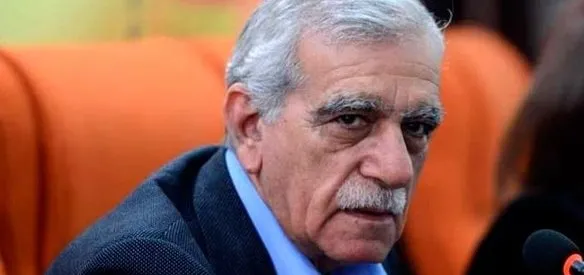 Mardin Büyükşehir Belediye Başkanı Ahmet Türk hakkında