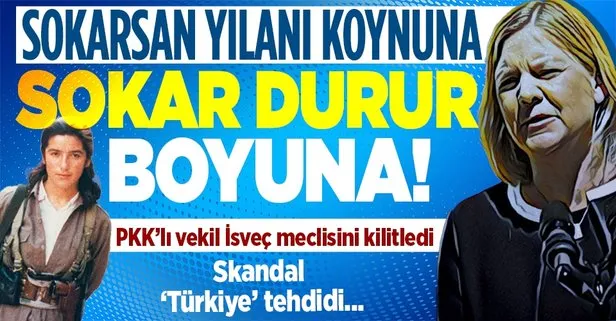 İsveç’in PKK’lı vekili Amineh Kakabaveh’ten hükümete yeni tehdit! Meclis’i işlemez hale getirdi: Türkiye’ye silah ihracatı yapmayın