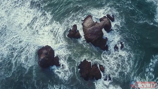 Titanic böyle yapılsaydı batmaz mıydı? Bilim dünyasını heyecanlandıran örümcek taktiği - 4