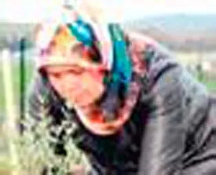 Soma şehitleri için 301 fidan