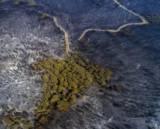 İzmirde yanan ormanlık alanlar havadan görüntülendi