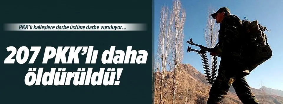 Çukurca'da 207 PKK'lı öldürüldü!