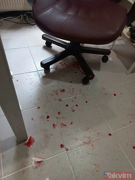 Yer: Sakarya Adapazarı... 'Beni taciz ediyorsun' diyerek saldırdığı doktorun burnunu kırdı! - 8