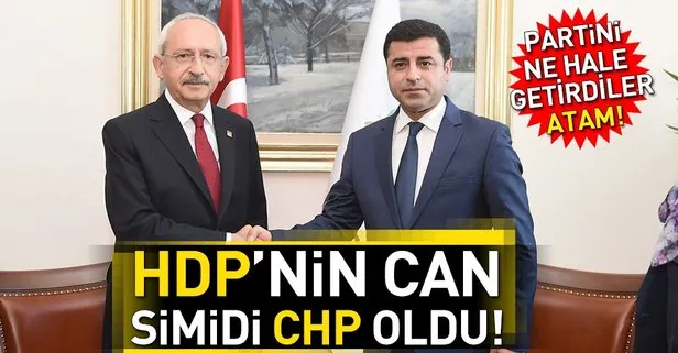 HDP’nin can simidi CHP oldu!