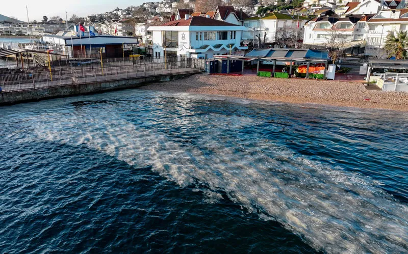Kınalıada'da müsilaj (AA)