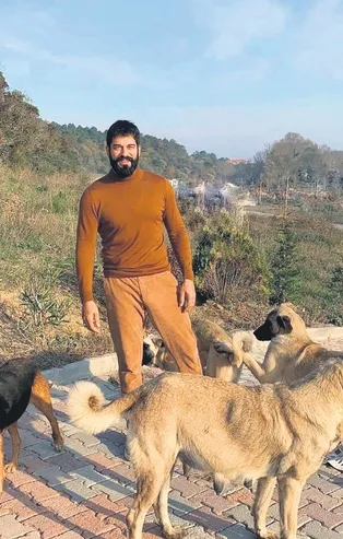 Kuruluş Osman'ın yıldızı Burak Özçivit gönülleri fethetti! Sokak köpekleri için yaptığıyla alkış aldı...