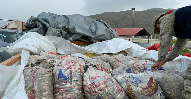 Van'da kaçak avlanılan 11 ton inci kefali ele geçirildi