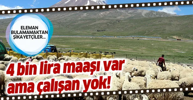 4 bin lira maaşı var ama eleman bulunmuyor...