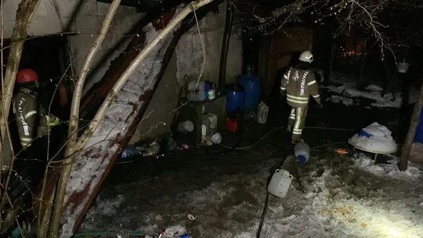 istanbulda-ahir-yandi-10-hayvan-telef-oldu-fareler-kablolari-yemis-olabilir-1647401512221.jpg İstanbul'da ahır yandı 10 hayvan telef oldu! Fareler kabloları yemiş olabilir-3