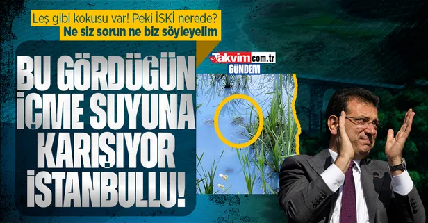 Alibeyköy Barajı'na dökülen derenin rengi maviye döndü! Kokusundan rahatsız olan mahalle sakinlerinden İSKİ'ye tepki