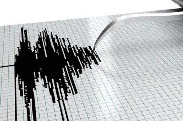 Meksika'da 6,6 büyüklüğünde deprem
