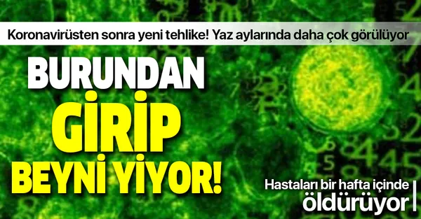 Koronavirüsten sonra yeni tehlike! Burundan girip beyni yiyor!-1