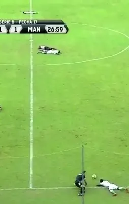 Ekvador'da Futbol maçını arılar bastı