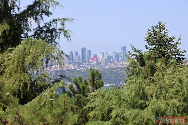 Güneydoğu Anadolu Güneydoğu Anadolu'da Sıcak Hava Devam Ediyor, Genellikle Az Bulutlu Ve Açık Olacak. Diyarbakır: 41°C, Az Bulutlu Ve Açık Gaziantep: 39°C, Az...