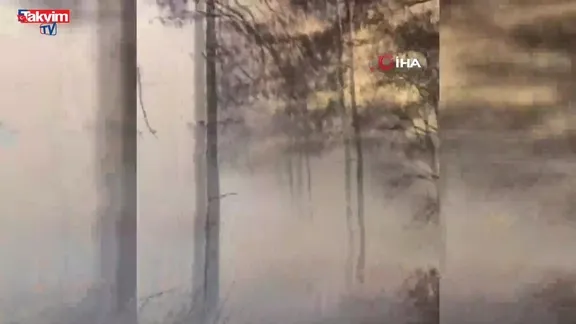 Antalya Kemer’de orman yangını!