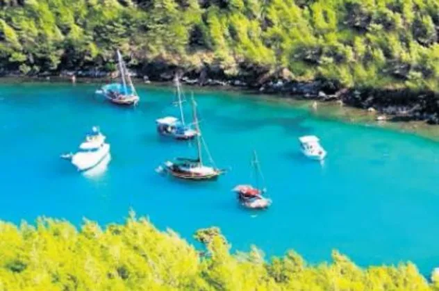Bodrum'da 250 bin TL'lik tonoz çalındı