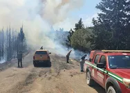 İzmirde orman yangını