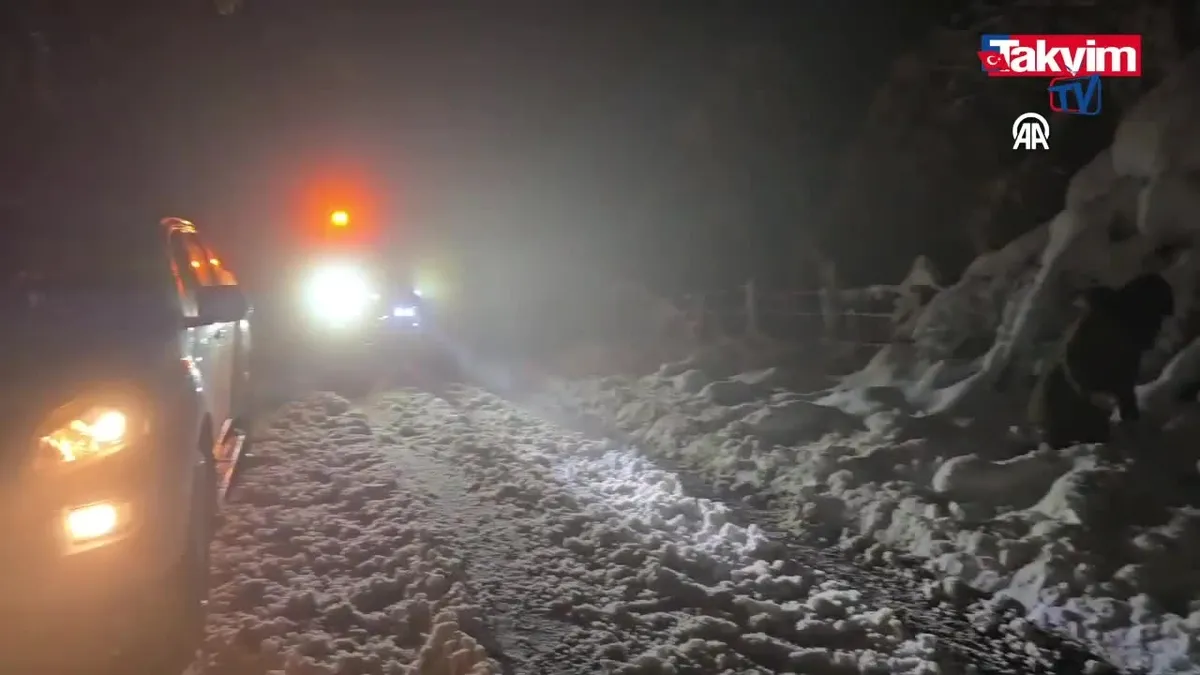 Samsun'da kar yağışı etkili oluyor