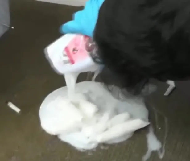 Bomba düzeneği ile yakalandı! Suriye’den gelen terörist bombalı eylem yapacaktı