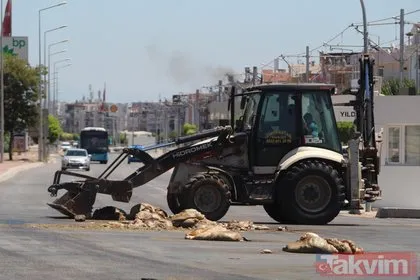 Antalya’da şok görüntü! TIR’dan caddeye döküldü...