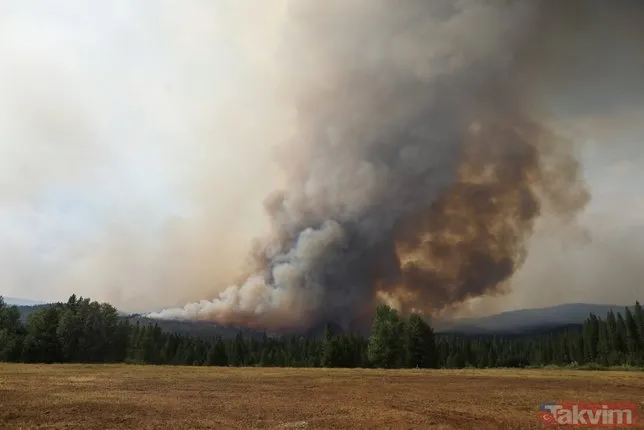 Kaliforniya'daki yangınlar haftalardır kontrol altına alınamıyor! Yerleşim yerleri tehlike altında