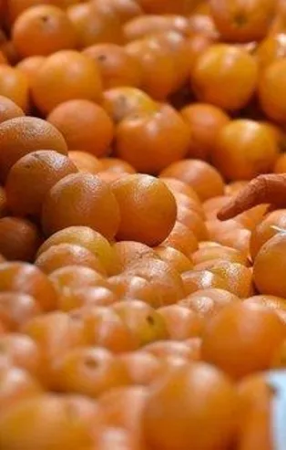 SON DAKİKA: Tarlada 2 markette 9 lira! Gıdadaki fahiş fiyat hilesine karşı önemli adım