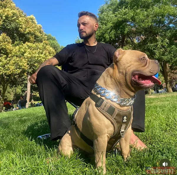 Şişli'deki kazada kimlikler belli oldu... "İnanılmaz bir hızla çarptı" | "Köpek" detayı - 7