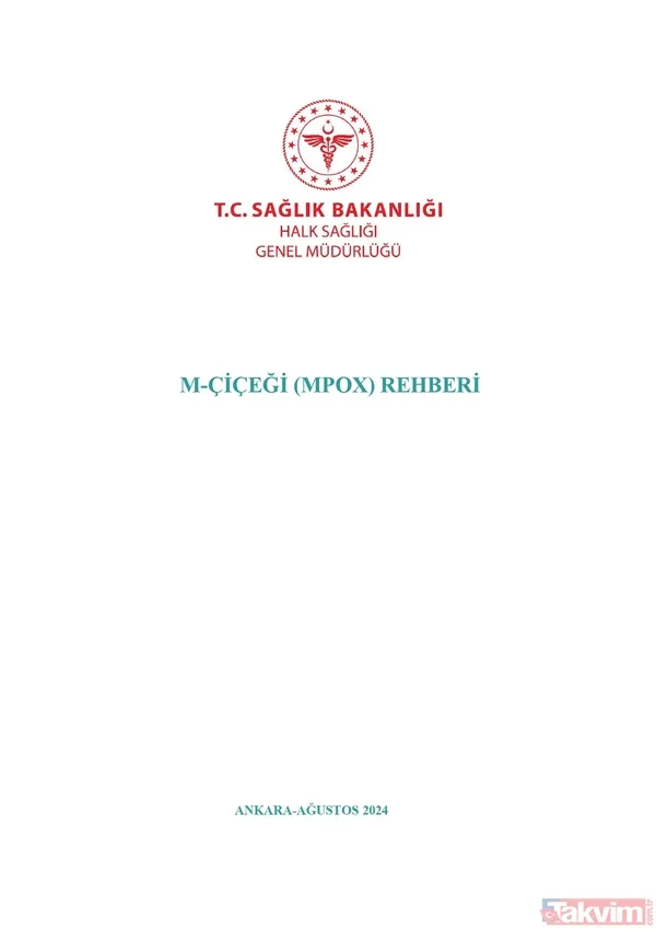 Sağlık Bakanlığı Maymun Çiçeği (MPOX) rehberi yayımladı! İşte virüsün bulaşma yolları, belirtileri ve tedavisi... - 5