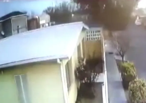 gorenler-soke-oldu-meksikada-kus-surusu-bir-anda-yere-cakildi-1644530302892.jpg Görenler şoke oldu: Meksika'da kuş sürüsü bir anda yere çakıldı-3