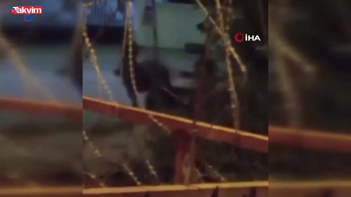 Arnavutköy'de ata şiddet kamerada!