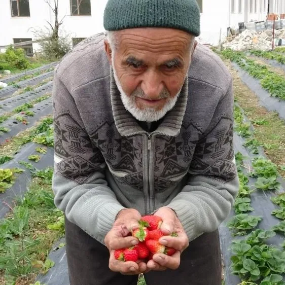 85 yaşındaki İbrahim Çakmakçı’dan acı haber